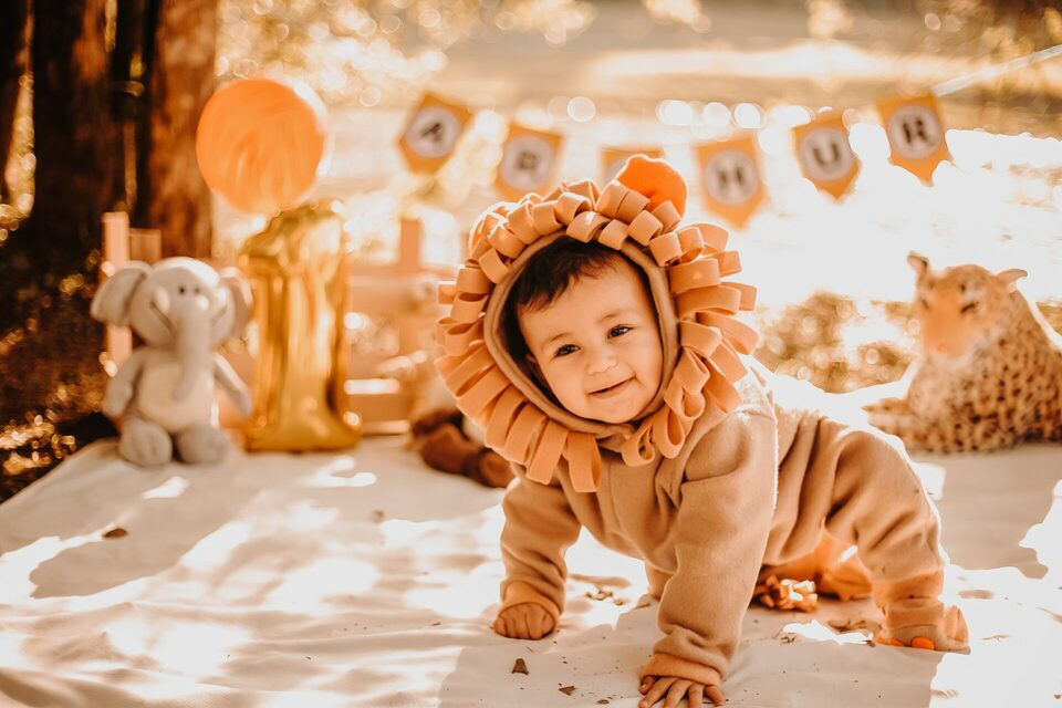 Smash the Cake no Parque Tingui - Baby Arthur Smash the Cake no Parque Tingui - Baby Arthur
