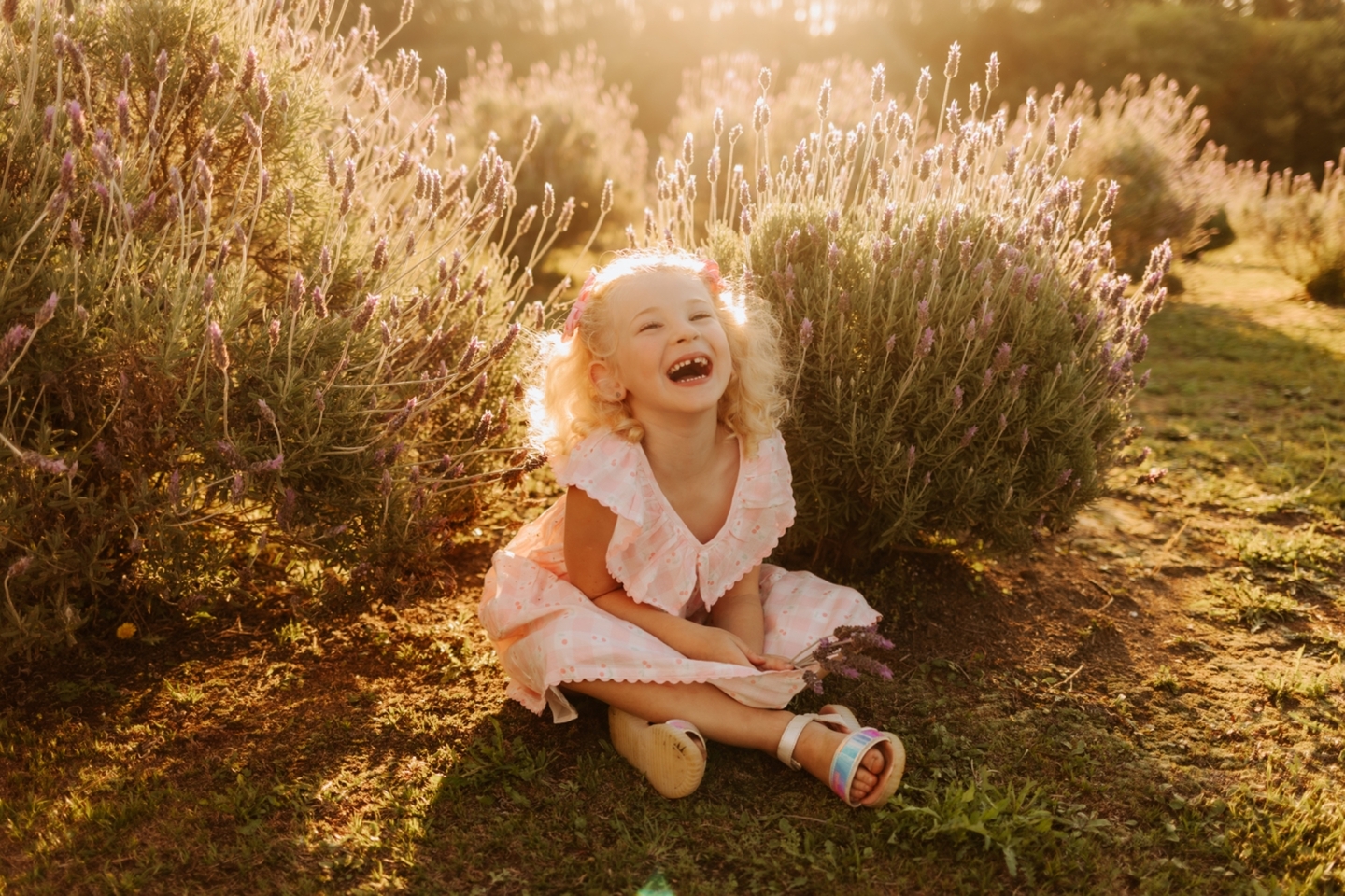 Ensaio de 4 Anos da Bela - no Lavandário Vale dos Sonhos