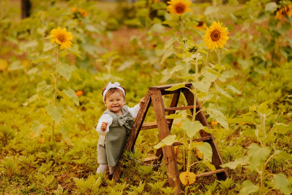 Ensaio de 1 aninho no Recanto Nogarotto - Lorena 
