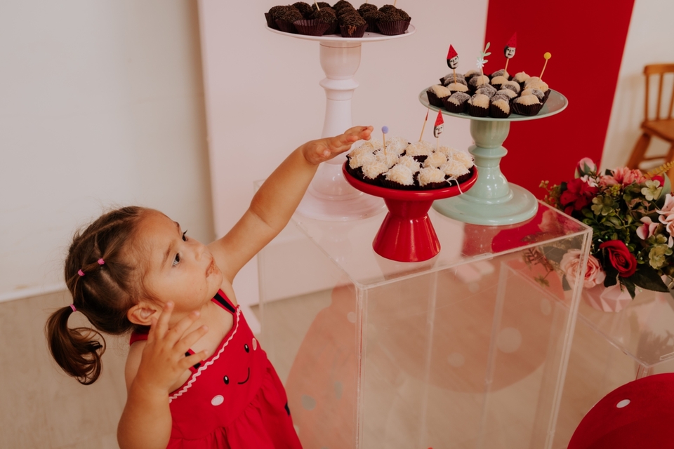 Aniversário de 02 aninhos no Quintal Obaobá Festas - Livia