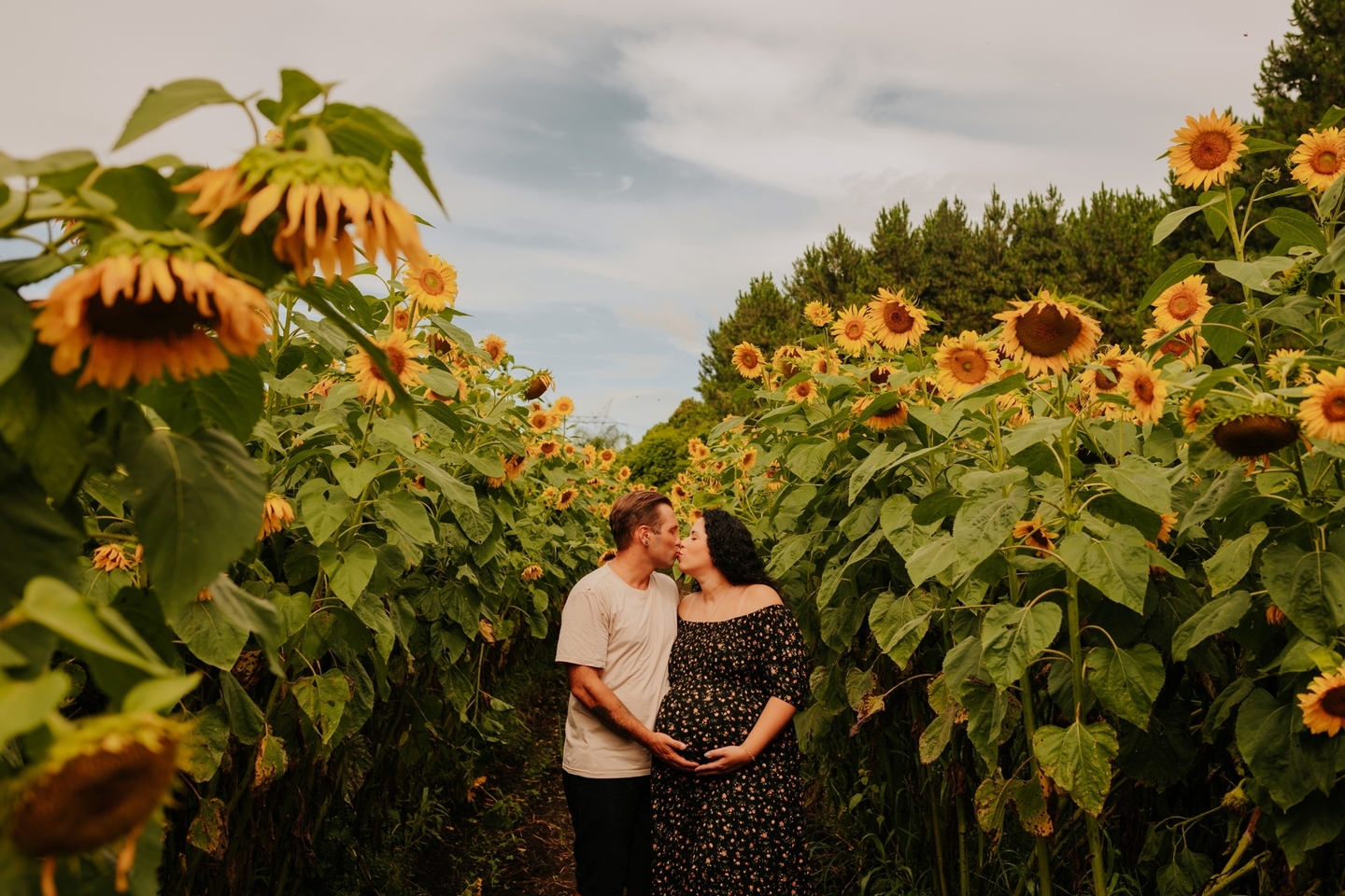 Ensaio Gestante no Campo de Girassóis - Cibelli 