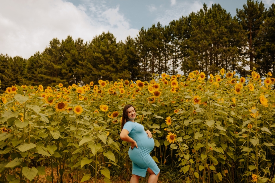 Ensaio Gestante no Campo de Girassóis - Elisa