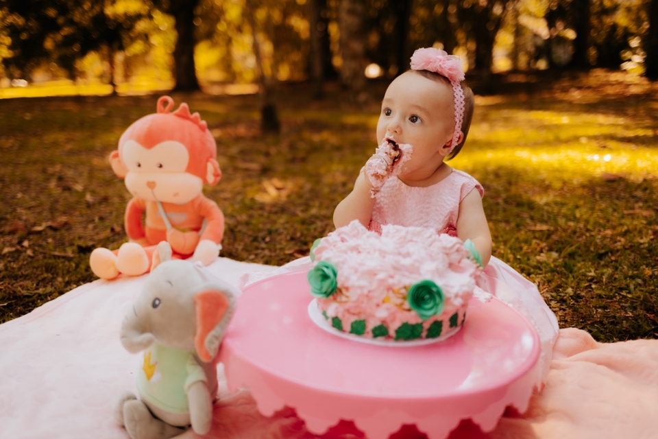 Smash the Cake Antonella - Jardim Botânico 